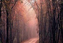 2022-2023賽季歐洲冠軍聯賽直播平臺.