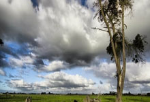 乐天堂fun88官网登录入口:北京时间10月27日3:00,西甲第11轮,万众瞩目的西班牙国家德比,巴萨客场4-0横扫皇马!本场比赛,莱万下半场2分钟打进2球,亚马尔再下一城,拉菲尼亚传射锁定胜局.