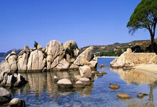 乐天堂fun88官网登录入口登录入口：老鷹展翅高飛 擊敗熱火喜迎三連勝 約翰遜楊希羅各顯神通.